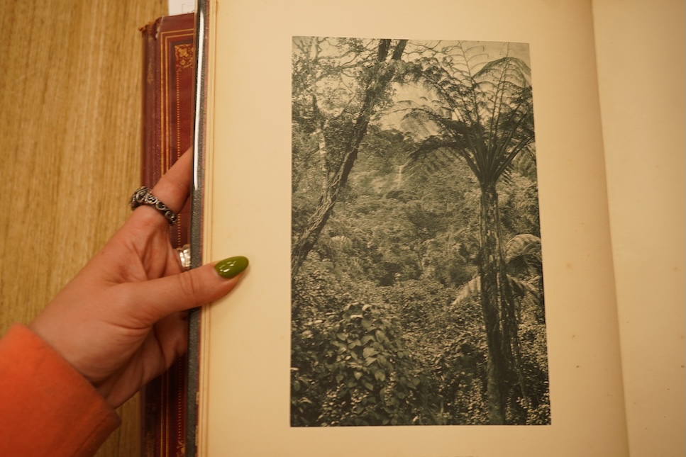 Cave, Henry W. - Picturesque Ceylon. 1st edition, 3 vols, 91 photo . plates (with captioned guards); original gilt ruled, decorated and lettered morocco, ge. and marbled e/ps., roy. 4to. 1893-95. *(E.R. Tongue-Croxall)